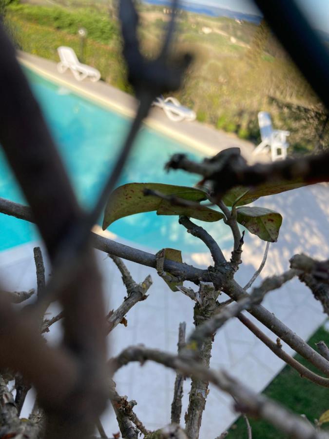 Appartamento Il Vecchio Fienile Σαν Τζιμινιάνο Εξωτερικό φωτογραφία